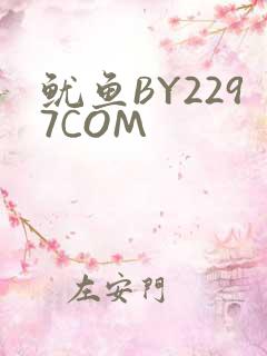 鱿鱼BY2297COM