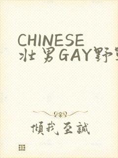 CHINESE壮男GAY野战强迫TUBE