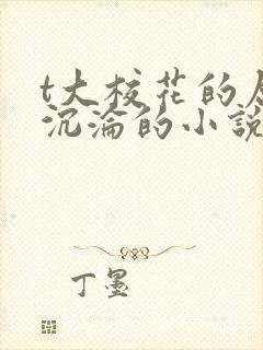 t大校花的屈辱沉沦的小说