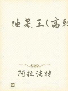 他是王(高干)
