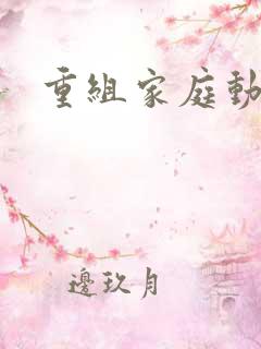 重组家庭动漫