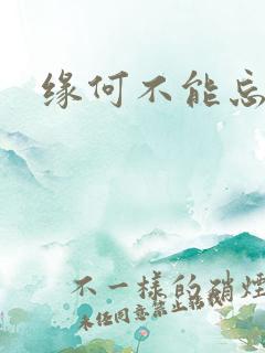 缘何不能忘记你