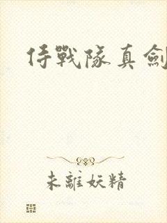 侍战队真剑者2