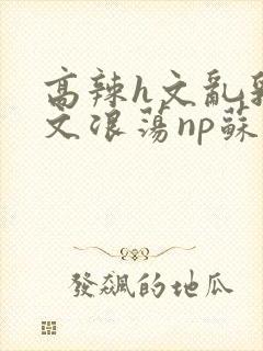 高辣h文乱乳h文浪荡np苏夏