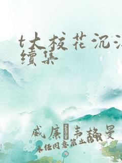 t大校花沉浮录续集