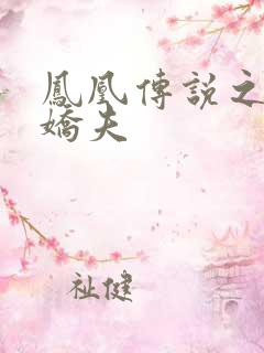 凤凰传说之独宠娇夫