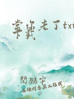 当你老了txt下载