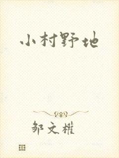 小村野地