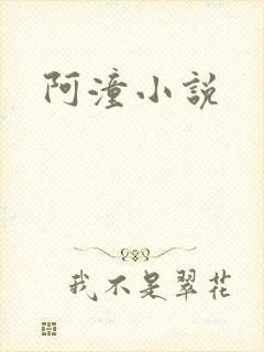 阿潼小说