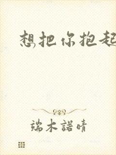 想把你抱起来撞