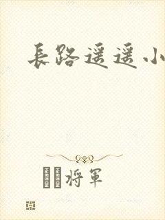 长路遥遥小说