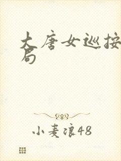 大唐女巡按大结局