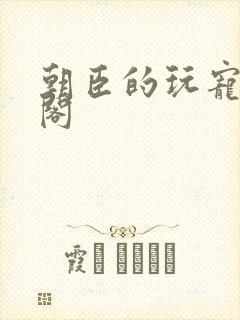 朝臣的玩宠笔趣阁