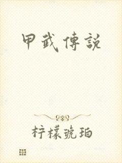甲武传说