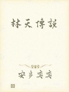 林天传说