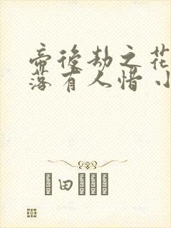 帝后劫之花开花落有人惜 小说