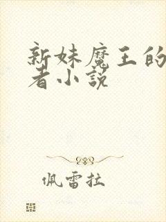 新妹魔王的契约者小说
