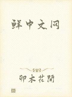 鲜中文网