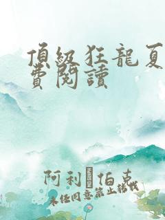 顶级狂龙夏天免费阅读