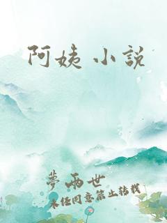 阿姨 小说