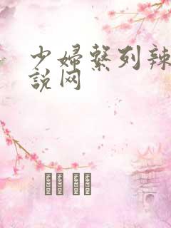 少妇系列辣文小说网