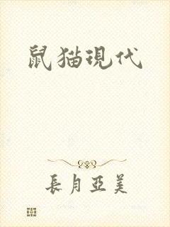 鼠猫现代