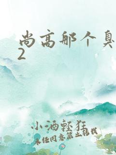 尚高那个臭小子2