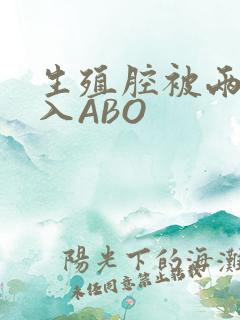 生殖腔被两根进入ABO