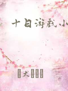 十日游戏小说