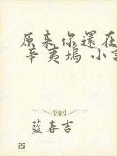 原来你还在这里 辛夷坞 小说