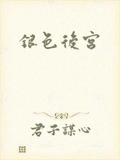 银色后宫