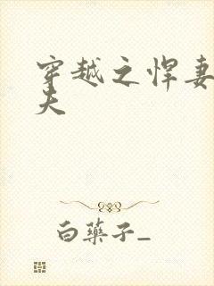 穿越之悍妻共三夫