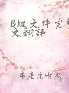 B级文件完整中文翻译