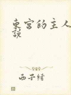 东宫的主人 小说