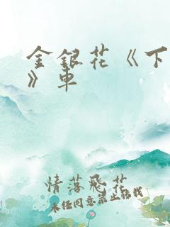 金银花《下厨房》车