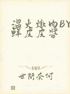 温火炖肉BY海鲜皮皮酱