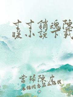 寸寸销魂陈聪王暖小说下载