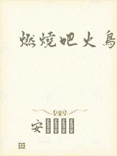 燃烧吧火鸟小说