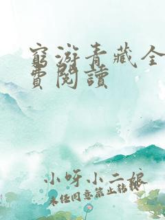 穷游青藏全文免费阅读