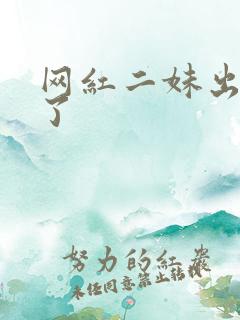 网红二妹出啥事了