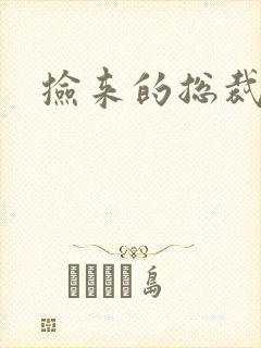 捡来的总裁儿子