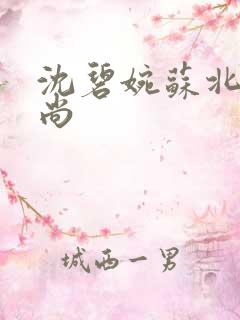 沈碧婉苏北宸和尚