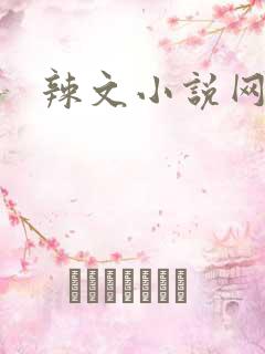 辣文小说网