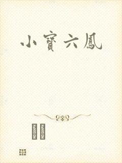 小宝六凤