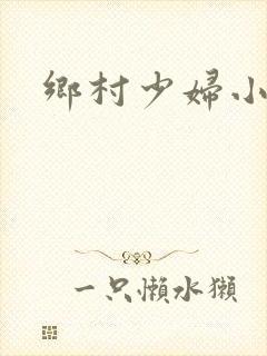 乡村少妇小说