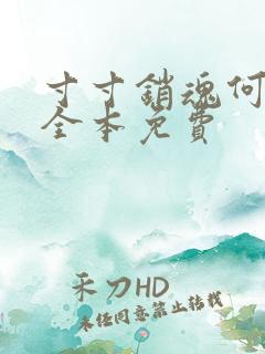 寸寸销魂何生祥全本免费