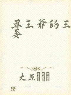 丑王爷的三妻四妾