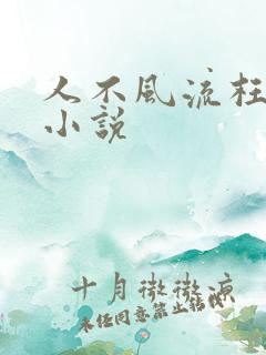 人不风流枉少年小说