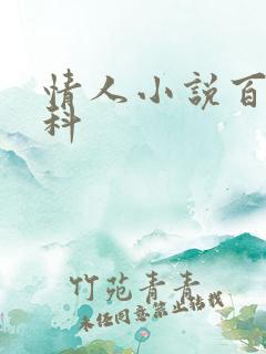 情人小说百度百科