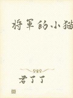 将军的小猫咪
